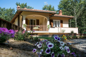 La Casa nel Bosco Civitella In Val Di Chiana